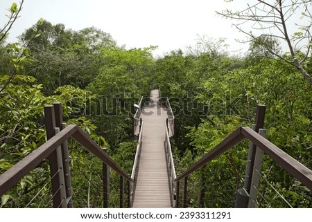Metro Forest is an urban ecological forest in the Lat Krabang district of Bangkok. There are over 270 species of plants in the forest. It is located approximately 10 km from Suvarnabhumi Airport.  Royalty-Free Stock Photo #2393311291