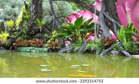 Picture of a medium sized pond with fallen leaves falling into the pond Makes green moss grow. In the back, there are beautiful leafy ornamental plants that have been meticulously planted.