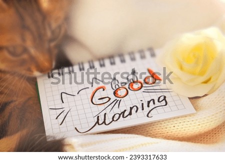 Text Good Morning on paper, notepad and rose flower. Motivation. Pretty cute kitten relaxing on the window sill. Tabby cat. Funny pets. Atmospheric mood