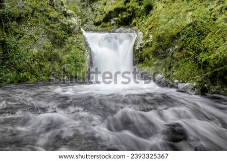 Blurred Motion of a Rapid Waterfall in a Forest