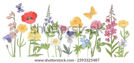 field flowers and grass, vector drawing wild flowering plants with butterflies at white background, floral border, hand drawn botanical illustration