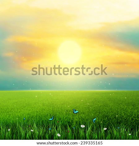 Summer Background With Sun, Grass, Flower And Butterflies
