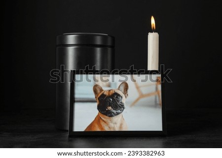Frame with picture of dog, mortuary urn and burning candle on dark background. Pet funeral