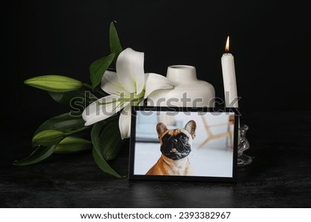 Frame with picture of dog, lily flowers and burning candle on dark background. Pet funeral