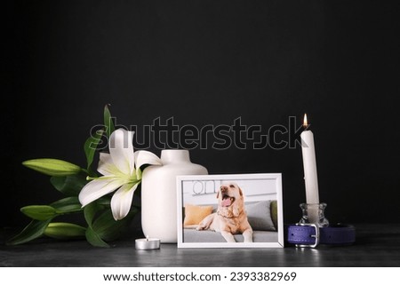 Frame with picture of dog, lily flowers, collar and burning candles on dark background. Pet funeral