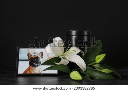 Frame with picture of dog, mortuary urn and beautiful lily flowers on dark background. Pet funeral