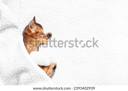 Cute little red kitten sleeping under a fluffy white blanket with soft plush heart. Concept of love, St. Valentines day, sweet dreams, good morning concept. Selective focus.