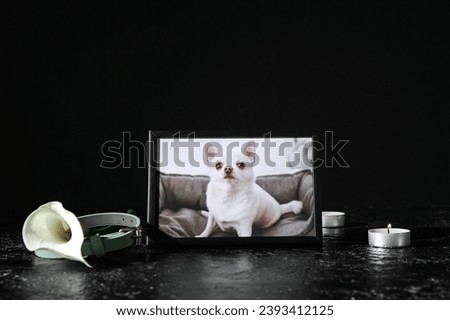 Frame with picture of dog, collar, burning candles and calla lily on dark background. Pet funeral
