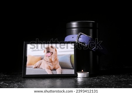 Frame with picture of dog, collar, mortuary urn and burning candle on dark background. Pet funeral