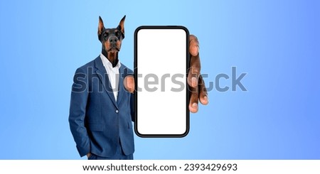 Businessman with Dobermann dog head in formal suit, showing large mockup empty smartphone in hand, blue background. Concept of mobile app and business network Royalty-Free Stock Photo #2393429693
