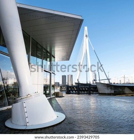 nieuwe maas river and erasmus bridge seen from waterfront of kop van zuid in dutch city of rotterdam on sunny day with blue sky Royalty-Free Stock Photo #2393429705