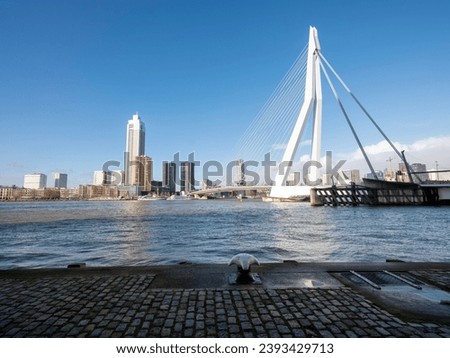 nieuwe maas river and erasmus bridge seen from waterfront of kop van zuid in dutch city of rotterdam on sunny day with blue sky Royalty-Free Stock Photo #2393429713