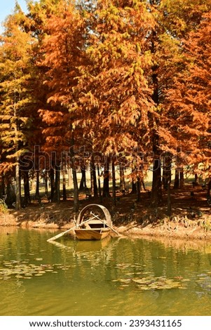 Photo of a traditional Chinese-style wooden boat moored next to the golden woods in autumn