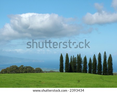 View of a bright green meadow with valley and ocean and mountain in the background