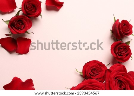 Beautiful red roses and petals on pale pink background, flat lay. Space for text