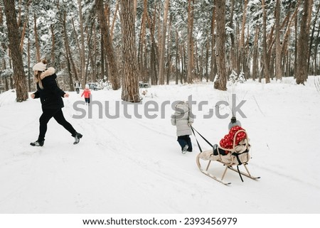 Baby in sleigh. Kid enjoying snowfall in snowy woods. Children ride on sledge and riding in snow. Small childs in winter nature. Child in sled in winter park. Family walking in snowy forest. Back view
