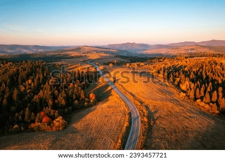 Drone flies over a road that runs through a coniferous forest. Location place Carpathian mountains, Ukraine, Europe. Top view, aerial photography. Photo wallpaper. Discover the beauty of earth.