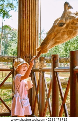 A girl feeds a giraffe in a cafe at Vinpearl Safari and Conservation Park on Phu Quoc , Vietnam