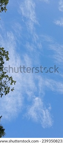 Beautiful blue sky view view  Royalty-Free Stock Photo #2393508233