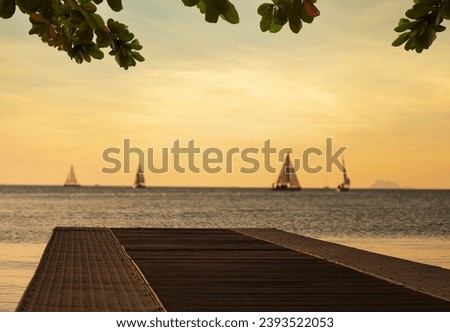 Empty pier. Wooden pier under a tree with sailboats at sunset in the background. Sea fashion model for post production. 
