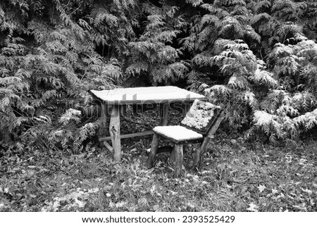 Small wooden sitting in the forest, snowy table and chair, winter landscape, black and white photo