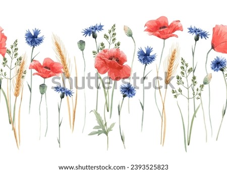 Red poppy flowers, cornflowers, and wheat ears. Vector illustration in a watercolor style. A bouquet of flowers arranged in a beautiful horizontal floral banner