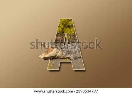 The letter A is embedded with a picture of the animal alligator. Great animal background.