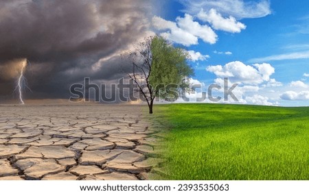 Dead tree with lightning on one side and living tree on the different side. Climate change and global warming concept. Royalty-Free Stock Photo #2393535063
