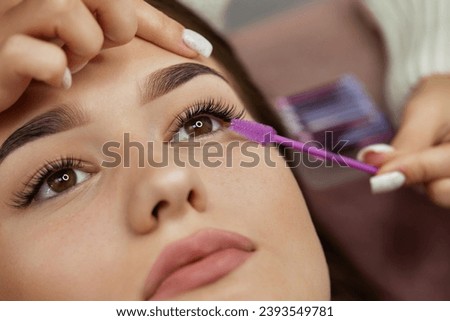 master combs the eyelashes of the client after the eyelash extension procedure. close-up. Cosmetology and skin care Royalty-Free Stock Photo #2393549781