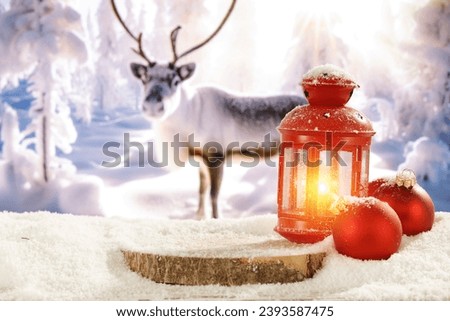 Winter mockup background of snow and frost. Natural rural landscape and sun light. Empty space for your decoration. Magic christmas photo of pedestals and vintage style. Cold december day. 