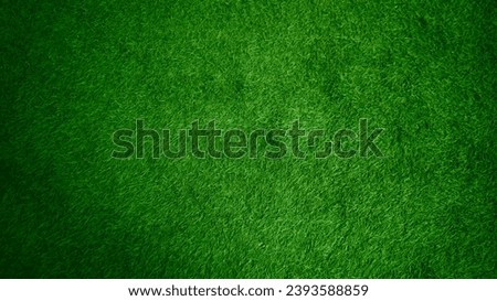 Green grass texture background grass garden concept used for making green background football pitch, Grass Golf, green lawn pattern textured background.....