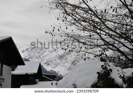 idilic snowy winter landscape photos - snowy winter background 