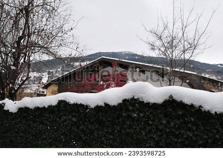 idilic snowy winter landscape photos - snowy winter background 