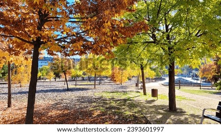 Autumn, Colorful Park in Europe Royalty-Free Stock Photo #2393601997