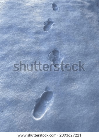 Footprints on fresh snow in Finland. No people. Blue tone picture of snow. Early winter in the nordics. Sunset, sun is shining from horizon