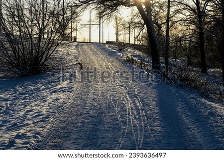 The path trodden in winter's footsteps Royalty-Free Stock Photo #2393636497