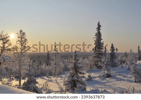 Winter picture. The picture was taken in Finnish Lapland.