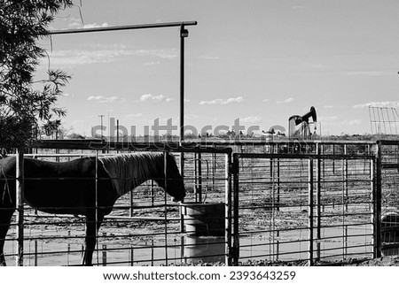 a black and white picture of a horse with an oil Derrick in the background