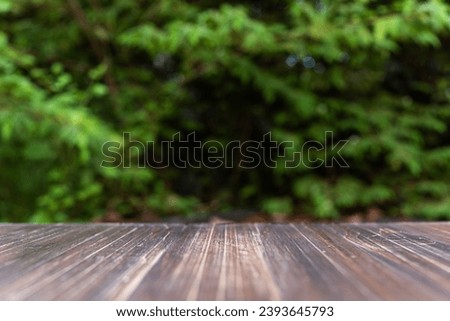 brown wood shelf on green leaves background