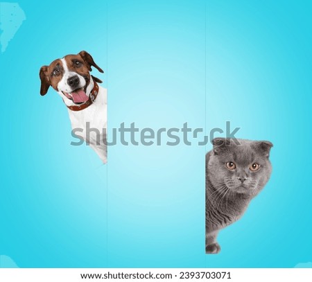 Portrait of happy young pets behind a wall. Royalty-Free Stock Photo #2393703071