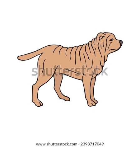 Vector hand drawn doodle sketch colored Shar Pei dog isolated on white background