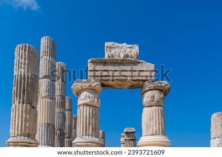 canakkale gulpınar apollon smintheion temple columns and mice Royalty-Free Stock Photo #2393721609
