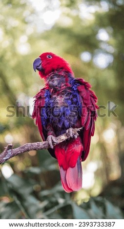 Parrot perched on a tree branch