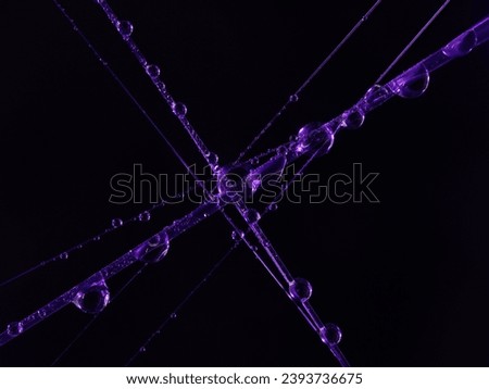 Color High resolution water drops on spiderweb. Macro photography.