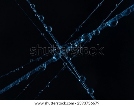Color High resolution water drops on spiderweb. Macro photography.