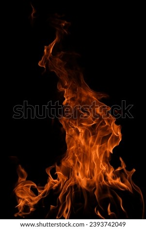 The fire, burning flame. Large burning flaming fire. Royalty-Free Stock Photo #2393742049