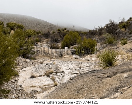 Telephone Canyon Trail Leads Over Exposed Rocks In Remote Big Bend National Park Royalty-Free Stock Photo #2393744121