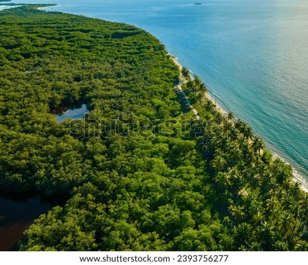 Aerial view of Rincon del Mar, Sucre, Colombia. Lush greenery meets clear blue Caribbean waters in this tropical paradise