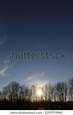 Graciousness is like sunlight through trees Royalty-Free Stock Photo #2393759865