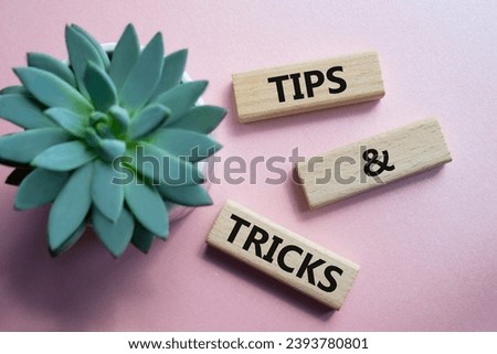 Tips and tricks symbol. Wooden blocks with words Tips and tricks. Beautiful pink background with succulent plant. Business concept and Tips and tricks. Copy space.